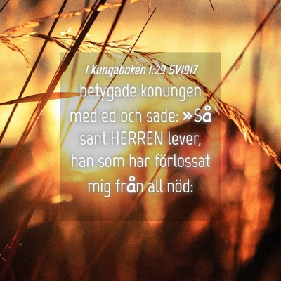 Picture 04 - 1 Kungaboken 1:29 SV1917 - betygade konungen med ed och sade: »Så sant - Bible Verse Picture
