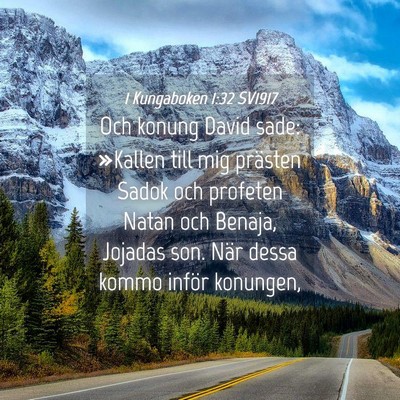 Picture 04 - 1 Kungaboken 1:32 SV1917 - Och konung David sade: »Kallen till mig prästen - Bible Verse Picture