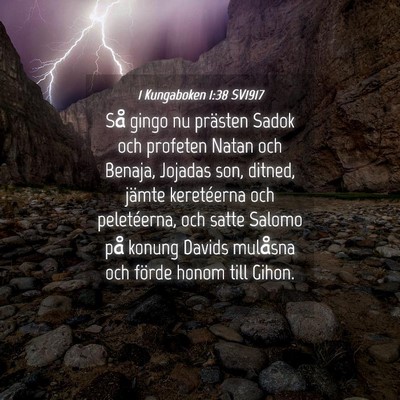 Picture 04 - 1 Kungaboken 1:38 SV1917 - Så gingo nu prästen Sadok och profeten Natan - Bible Verse Picture