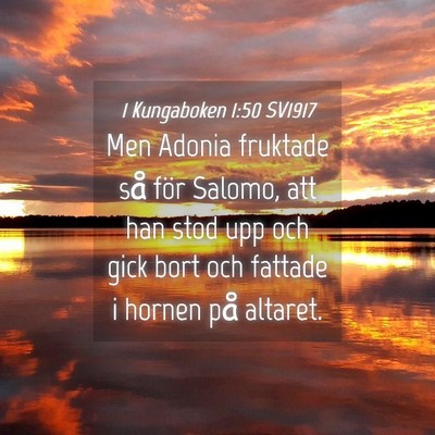 Picture 04 - 1 Kungaboken 1:50 SV1917 - Men Adonia fruktade så för Salomo, att han stod - Bible Verse Picture