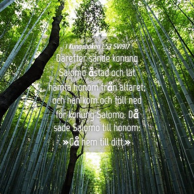 Picture 04 - 1 Kungaboken 1:53 SV1917 - Därefter sände konung Salomo åstad och lät - Bible Verse Picture