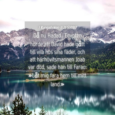 Picture 04 - 1 Kungaboken 11:21 SV1917 - Då nu Hadad i Egypten hörde att David hade - Bible Verse Picture