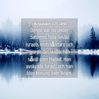 Picture 04 - 1 Kungaboken 11:25 SV1917 - Denne var nu under Salomos hela livstid Israels - Bible Verse Picture