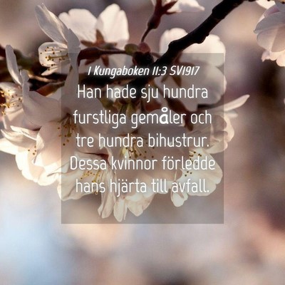 Picture 04 - 1 Kungaboken 11:3 SV1917 - Han hade sju hundra furstliga gemåler och tre - Bible Verse Picture