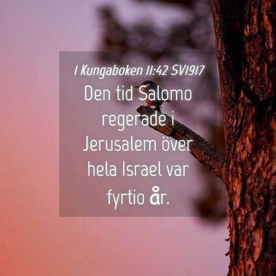 Picture 04 - 1 Kungaboken 11:42 SV1917 - Den tid Salomo regerade i Jerusalem över hela - Bible Verse Picture