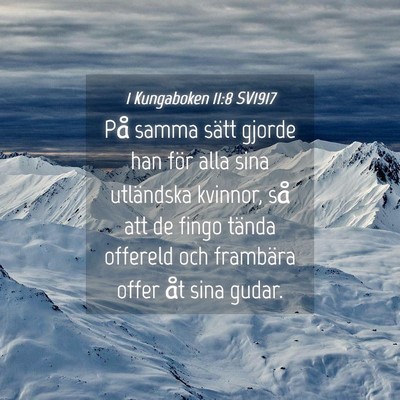 Picture 04 - 1 Kungaboken 11:8 SV1917 - På samma sätt gjorde han för alla sina - Bible Verse Picture