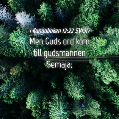 Picture 04 - 1 Kungaboken 12:22 SV1917 - Men Guds ord kom till gudsmannen - Bible Verse Picture