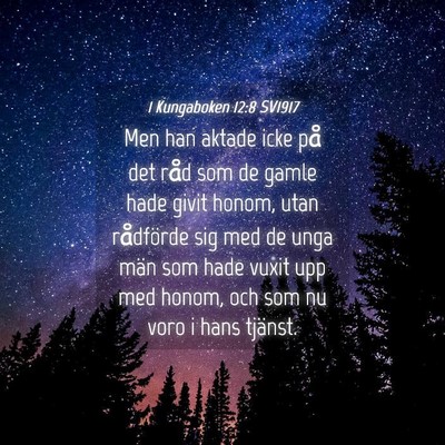 Picture 04 - 1 Kungaboken 12:8 SV1917 - Men han aktade icke på det råd som de gamle - Bible Verse Picture