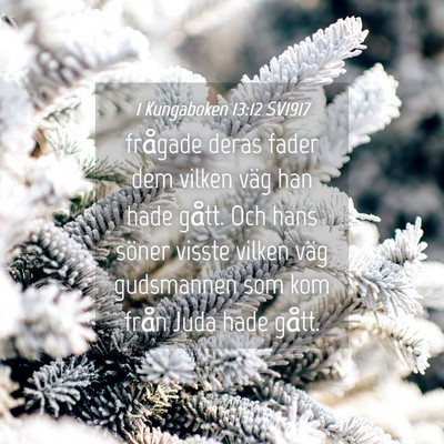 Picture 04 - 1 Kungaboken 13:12 SV1917 - frågade deras fader dem vilken väg han hade - Bible Verse Picture