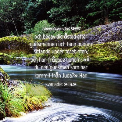 Picture 04 - 1 Kungaboken 13:14 SV1917 - och begav dig åstad efter gudsmannen och fann - Bible Verse Picture