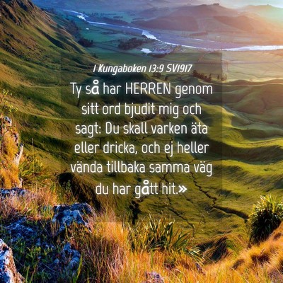 Picture 04 - 1 Kungaboken 13:9 SV1917 - Ty så har HERREN genom sitt ord bjudit mig och - Bible Verse Picture