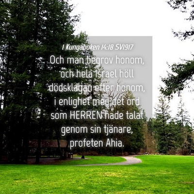 Picture 04 - 1 Kungaboken 14:18 SV1917 - Och man begrov honom, och hela Israel höll - Bible Verse Picture
