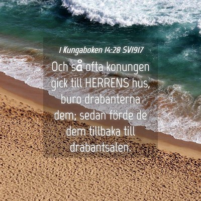 Picture 04 - 1 Kungaboken 14:28 SV1917 - Och så ofta konungen gick till HERRENS hus, buro - Bible Verse Picture