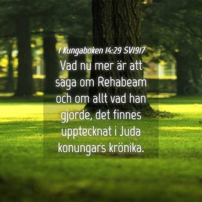 Picture 04 - 1 Kungaboken 14:29 SV1917 - Vad nu mer är att säga om Rehabeam och om allt - Bible Verse Picture