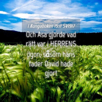 Picture 04 - 1 Kungaboken 15:11 SV1917 - Och Asa gjorde vad rätt var i HERRENS ögon, - Bible Verse Picture