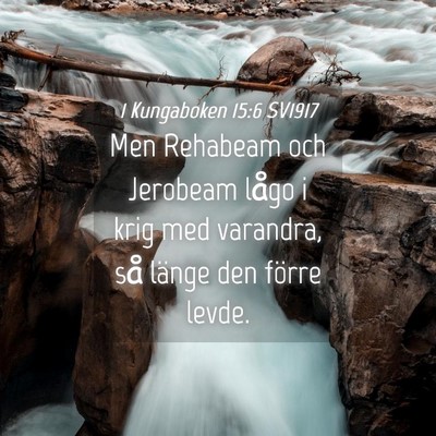 Picture 04 - 1 Kungaboken 15:6 SV1917 - Men Rehabeam och Jerobeam lågo i krig med - Bible Verse Picture