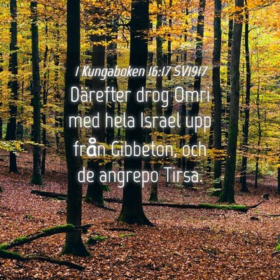 Picture 04 - 1 Kungaboken 16:17 SV1917 - Därefter drog Omri med hela Israel upp från - Bible Verse Picture