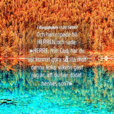 Picture 04 - 1 Kungaboken 17:20 SV1917 - Och han ropade till HERREN och sade: »HERRE, min - Bible Verse Picture