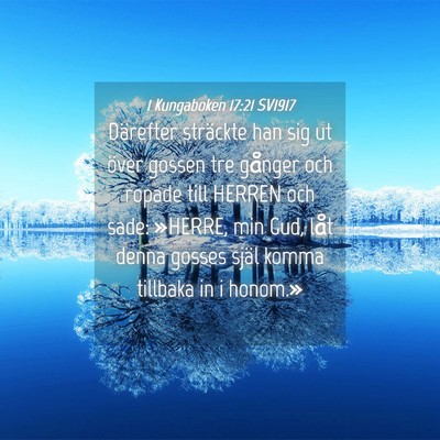 Picture 04 - 1 Kungaboken 17:21 SV1917 - Därefter sträckte han sig ut över gossen tre - Bible Verse Picture