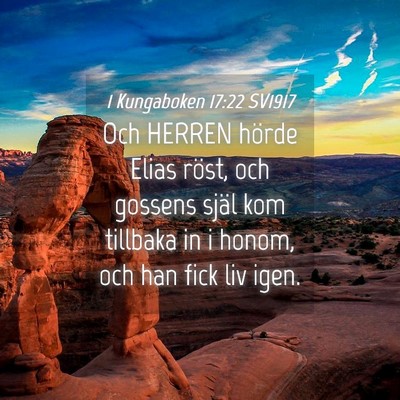 Picture 04 - 1 Kungaboken 17:22 SV1917 - Och HERREN hörde Elias röst, och gossens själ - Bible Verse Picture