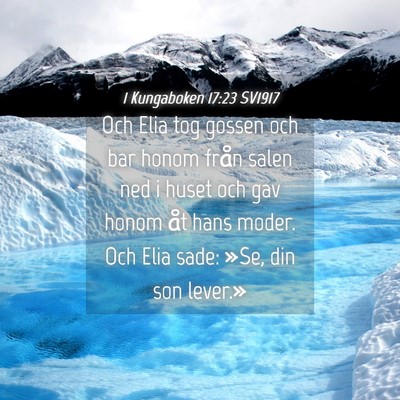 Picture 04 - 1 Kungaboken 17:23 SV1917 - Och Elia tog gossen och bar honom från salen ned - Bible Verse Picture
