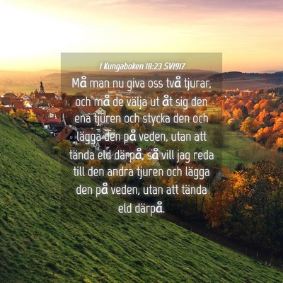 Picture 04 - 1 Kungaboken 18:23 SV1917 - Må man nu giva oss två tjurar, och må de - Bible Verse Picture