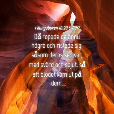 Picture 04 - 1 Kungaboken 18:28 SV1917 - Då ropade de ännu högre och ristade sig, - Bible Verse Picture