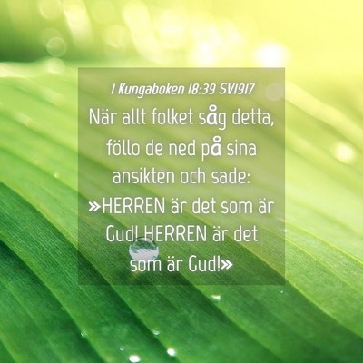 Picture 04 - 1 Kungaboken 18:39 SV1917 - När allt folket såg detta, föllo de ned på - Bible Verse Picture