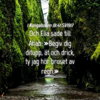 Picture 04 - 1 Kungaboken 18:41 SV1917 - Och Elia sade till Ahab: »Begiv dig ditupp, ät - Bible Verse Picture