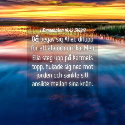 Picture 04 - 1 Kungaboken 18:42 SV1917 - Då begav sig Ahab ditupp för att äta och - Bible Verse Picture