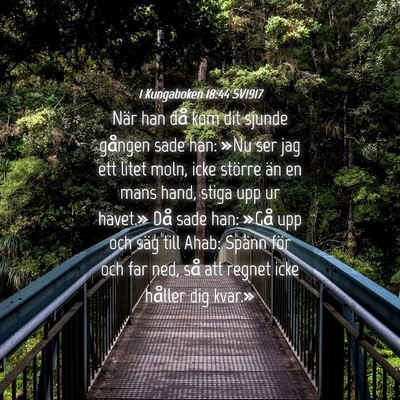 Picture 04 - 1 Kungaboken 18:44 SV1917 - När han då kom dit sjunde gången sade han: - Bible Verse Picture