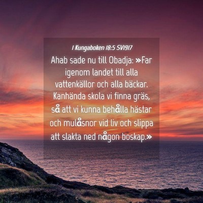 Picture 04 - 1 Kungaboken 18:5 SV1917 - Ahab sade nu till Obadja: »Far igenom landet - Bible Verse Picture