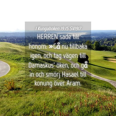 Picture 04 - 1 Kungaboken 19:15 SV1917 - HERREN sade till honom: »Gå nu tillbaka igen, - Bible Verse Picture