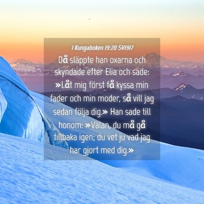 Picture 04 - 1 Kungaboken 19:20 SV1917 - Då släppte han oxarna och skyndade efter Elia - Bible Verse Picture