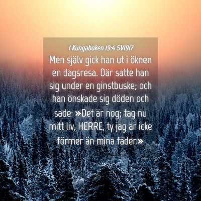 Picture 04 - 1 Kungaboken 19:4 SV1917 - Men själv gick han ut i öknen en dagsresa. Där - Bible Verse Picture
