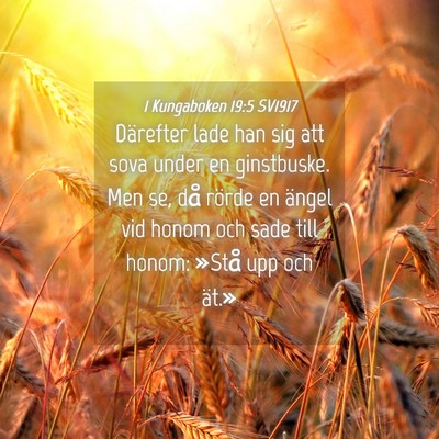 Picture 04 - 1 Kungaboken 19:5 SV1917 - Därefter lade han sig att sova under en - Bible Verse Picture