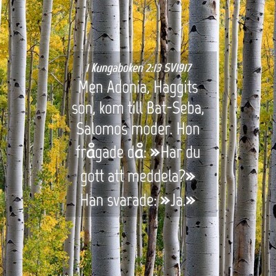 Picture 04 - 1 Kungaboken 2:13 SV1917 - Men Adonia, Haggits son, kom till Bat-Seba, - Bible Verse Picture