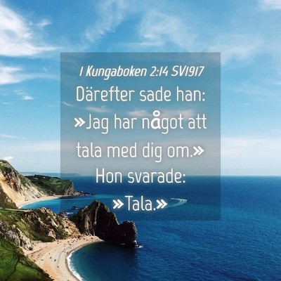 Picture 04 - 1 Kungaboken 2:14 SV1917 - Därefter sade han: »Jag har något att tala med - Bible Verse Picture