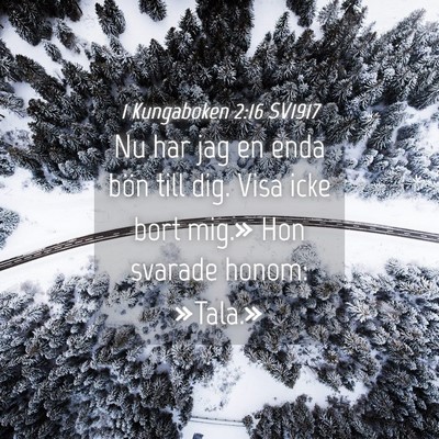 Picture 04 - 1 Kungaboken 2:16 SV1917 - Nu har jag en enda bön till dig. Visa icke bort - Bible Verse Picture