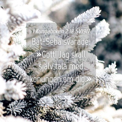 Picture 04 - 1 Kungaboken 2:18 SV1917 - Bat-Seba svarade: »Gott! Jag skall själv tala - Bible Verse Picture