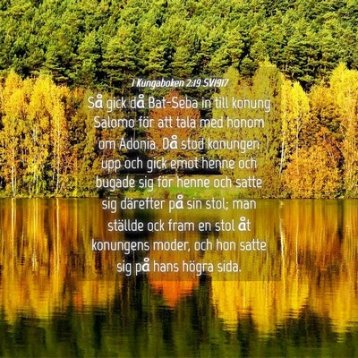Picture 04 - 1 Kungaboken 2:19 SV1917 - Så gick då Bat-Seba in till konung Salomo för - Bible Verse Picture