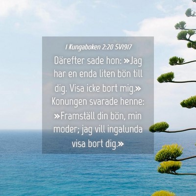 Picture 04 - 1 Kungaboken 2:20 SV1917 - Därefter sade hon: »Jag har en enda liten bön - Bible Verse Picture