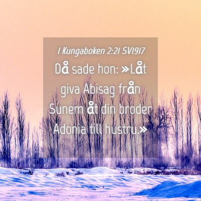 Picture 04 - 1 Kungaboken 2:21 SV1917 - Då sade hon: »Låt giva Abisag från Sunem åt - Bible Verse Picture