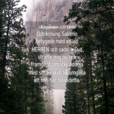 Picture 04 - 1 Kungaboken 2:23 SV1917 - Och konung Salomo betygade med ed vid HERREN och - Bible Verse Picture