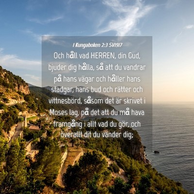 Picture 04 - 1 Kungaboken 2:3 SV1917 - Och håll vad HERREN, din Gud, bjuder dig hålla, - Bible Verse Picture
