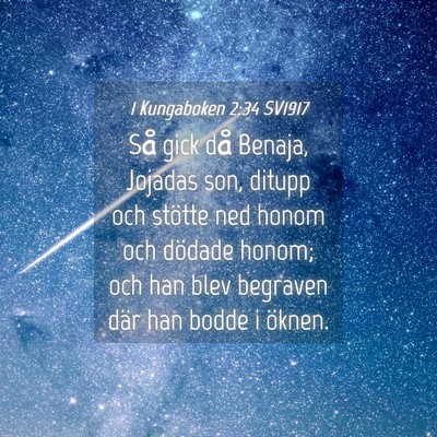 Picture 04 - 1 Kungaboken 2:34 SV1917 - Så gick då Benaja, Jojadas son, ditupp och - Bible Verse Picture