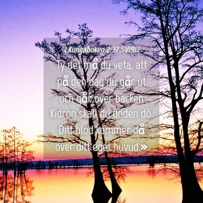 Picture 04 - 1 Kungaboken 2:37 SV1917 - Ty det må du veta, att på den dag du går ut - Bible Verse Picture