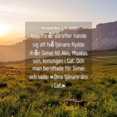 Picture 04 - 1 Kungaboken 2:39 SV1917 - Men tre år därefter hände sig att två - Bible Verse Picture