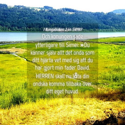 Picture 04 - 1 Kungaboken 2:44 SV1917 - Och konungen sade ytterligare till Simei: »Du - Bible Verse Picture