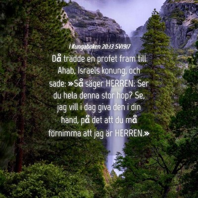 Picture 04 - 1 Kungaboken 20:13 SV1917 - Då trädde en profet fram till Ahab, Israels - Bible Verse Picture